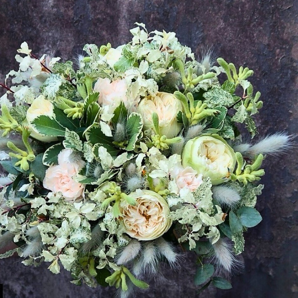 Why Fontana&rsquo;s Rose White Kahala Is a Perfect Muse for Your Spring Season Designs