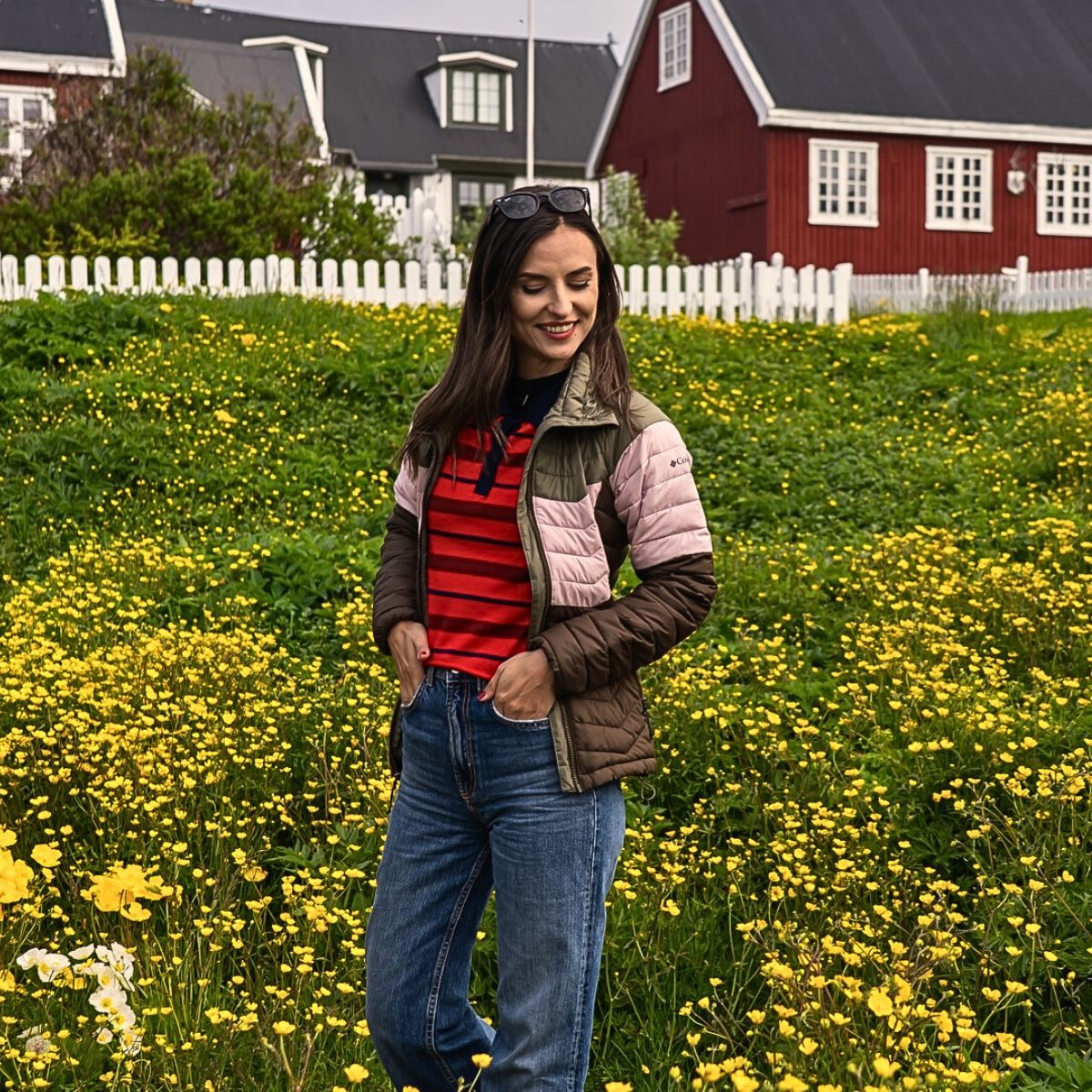 Visit in Greenland Feature Image