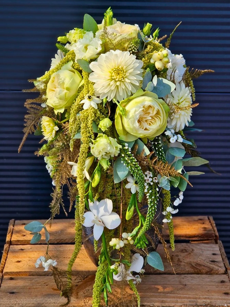 Why Fontana&rsquo;s Rose White Kahala Is a Perfect Muse for Your Spring Season Designs