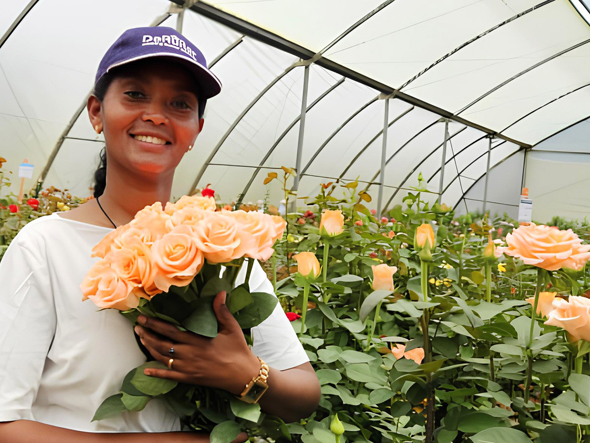 Aster Kenea from De Ruiter Ethiopia in greenhouse