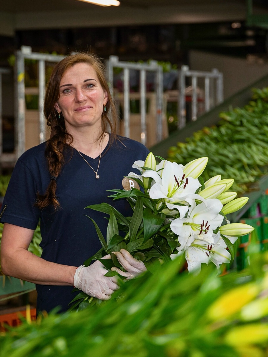 How Does Lily Breeding Work?