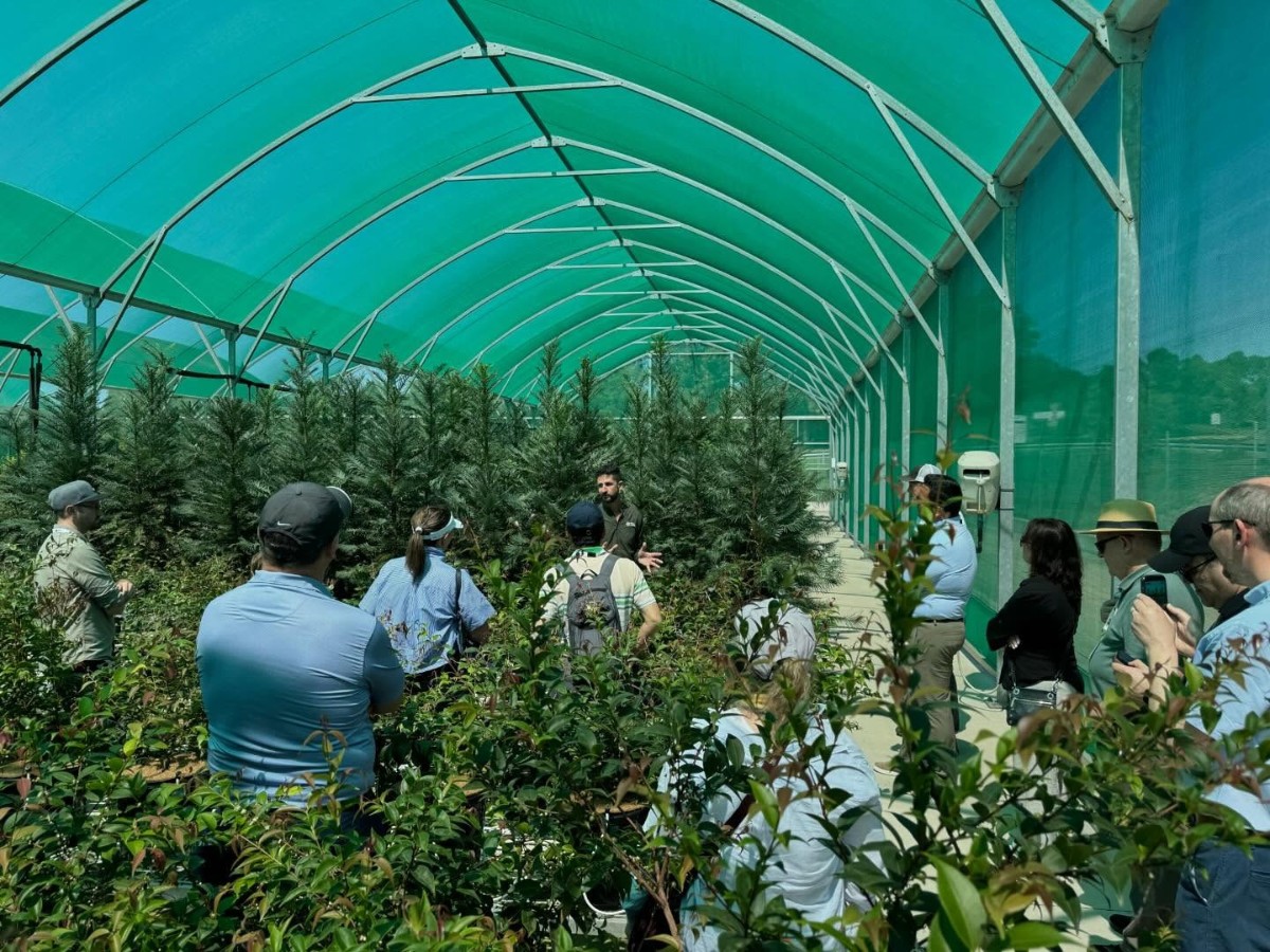 AIPH Meeting Sydney 2026