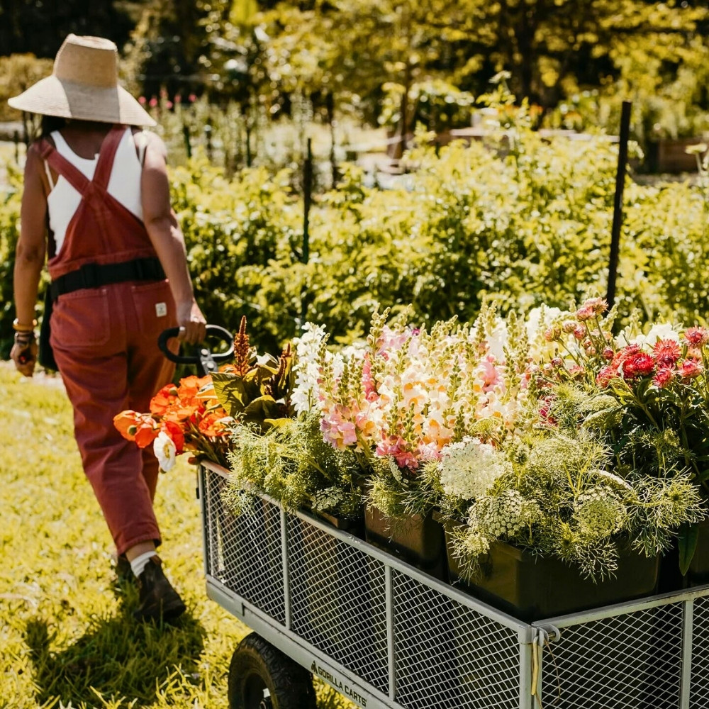 The AIPH Sydney Meeting 2026: Discussing and Addressing the Most Pressing Issues Facing the Horticulture Industry.