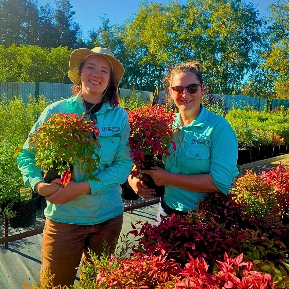 The AIPH Sydney Meeting 2026: Discussing and Addressing the Most Pressing Issues Facing the Horticulture Industry.