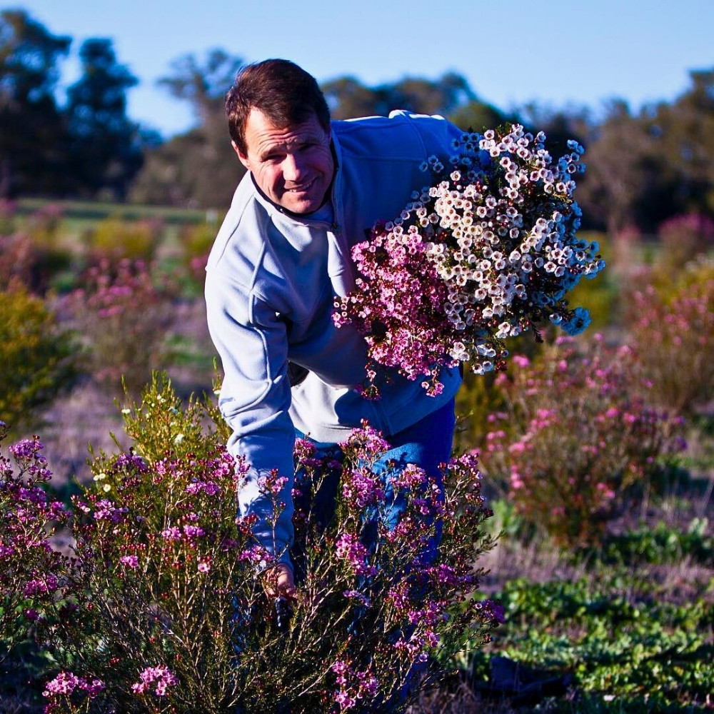 The AIPH Sydney Meeting 2026: Discussing and Addressing the Most Pressing Issues Facing the Horticulture Industry.