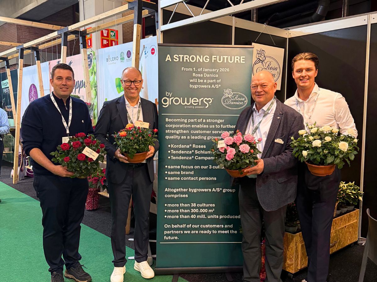 10 questions to Jonathan Kordes