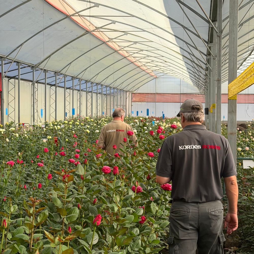 10 questions to Jonathan Kordes