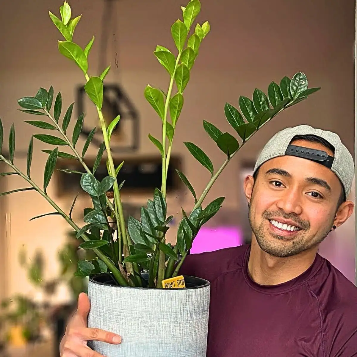 Workplace Plants Feature image