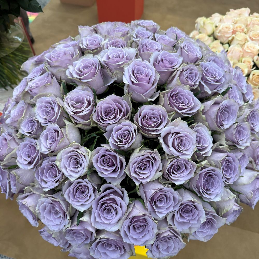 10 questions to Jonathan Kordes