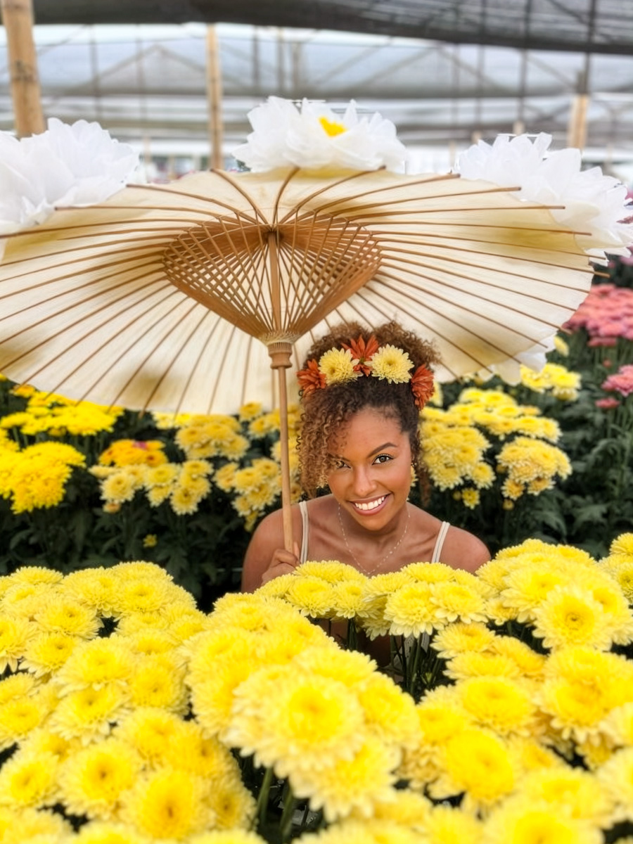 Almendra Chrysanthemum