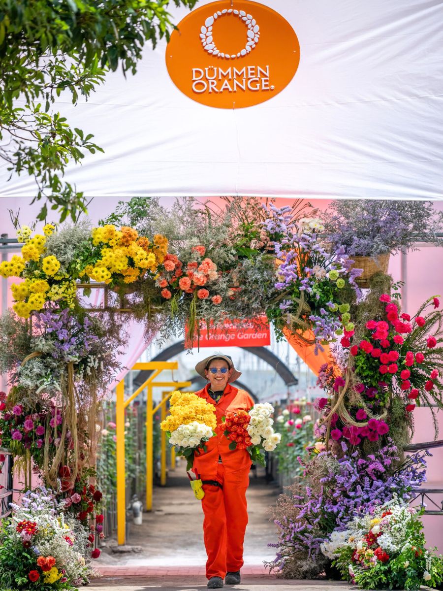 The Orange Garden in Bogota