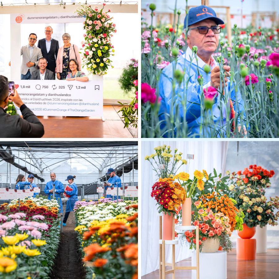 Moments during the Open Days at Dummen Latam