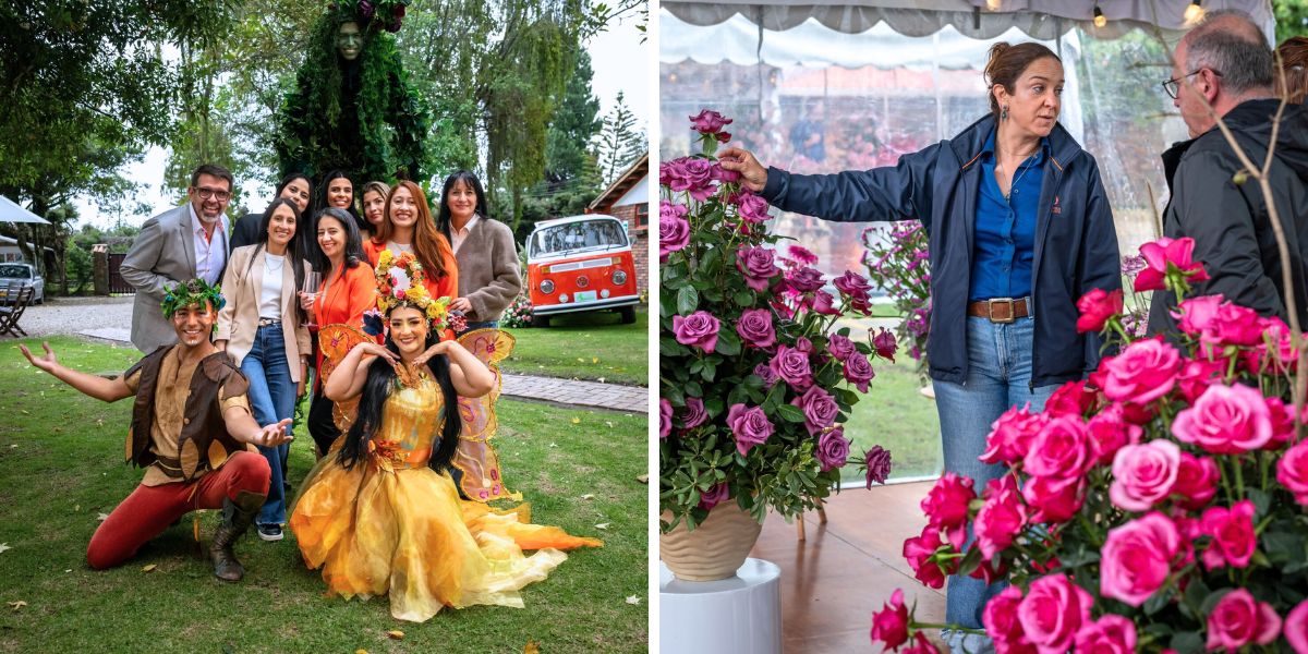 Showing roses at Dummen Orange Latam Showing roses at Dummen Orange Latam