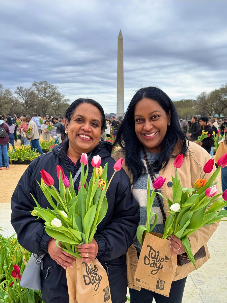 Tulip Day Washington &ndash; A Glorious Afternoon as 150,000 Tulips Take Over the National Mall
