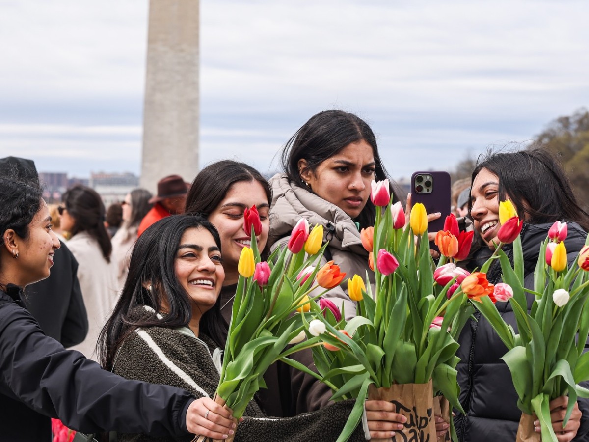Tulips Take Over Washinton D.C.&rsquo;s National Mall on Tulip Day Washington 2026 Marked on March 15.