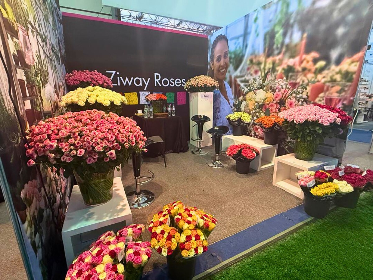 The Ethiopian Horticulture Producer Exporters Association (EHPEA), in partnership with HPP Exhibitions host this Expo from March 24th to 26th, 2026, at the Addis International Convention Center, Addis Ababa.