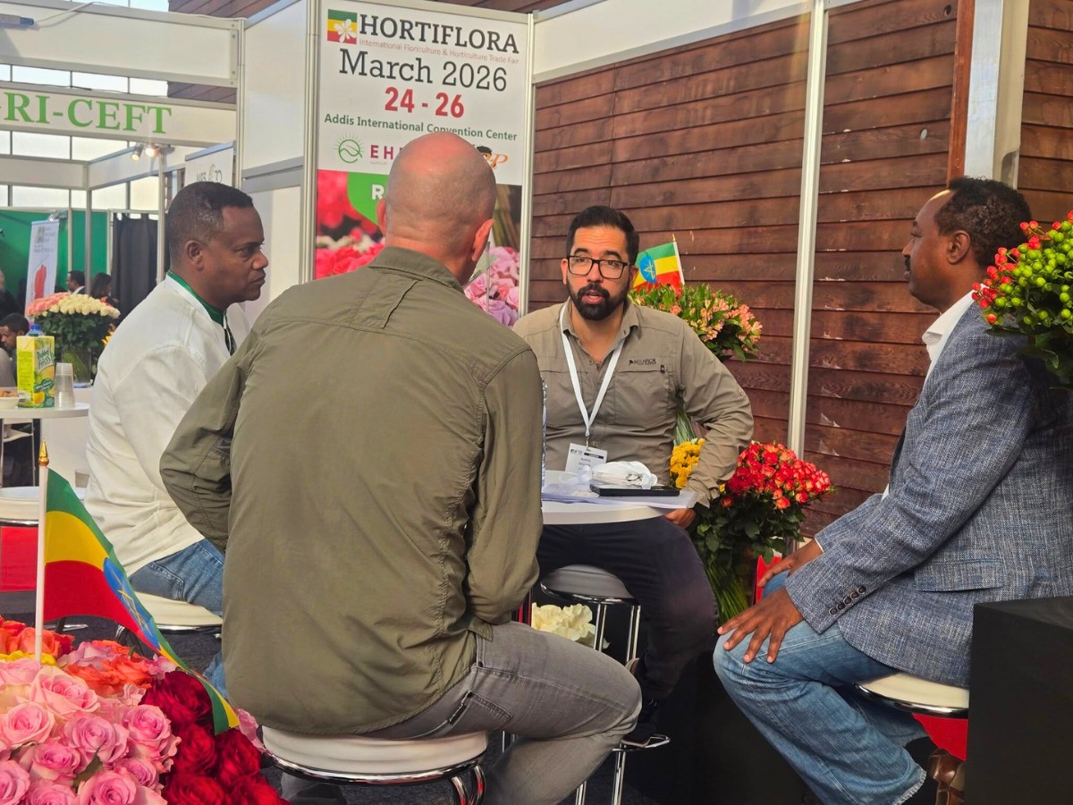 Through the HortiFlora, the Ethiopian Horticulture Producer Exporters Association (EHPEA), in Partnership With HPP Seek to Promote the Country&rsquo;s Horticultural Industry