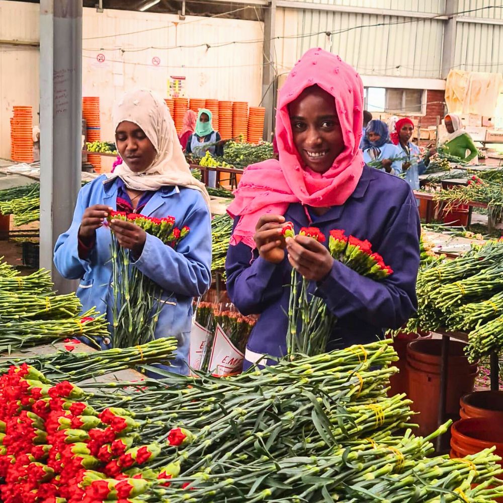 East African Magical Farms
