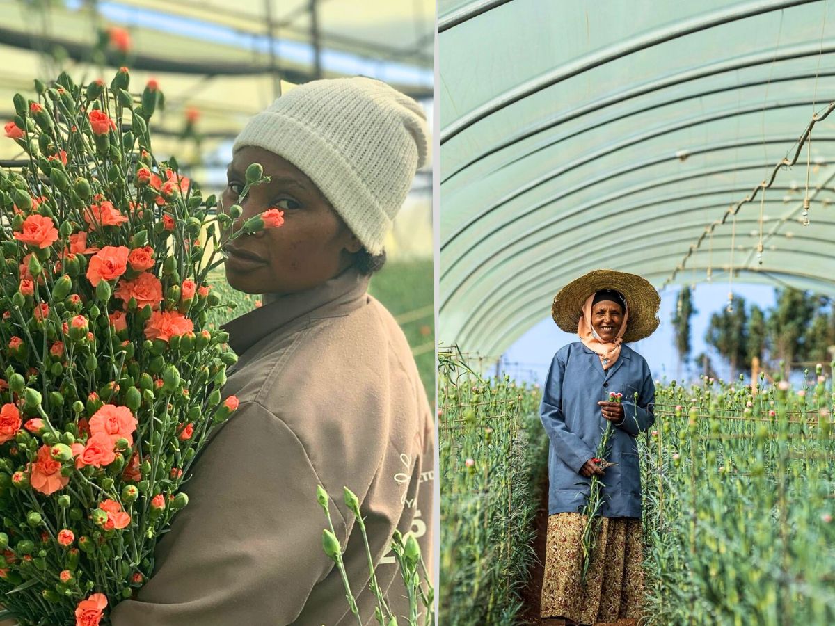 East African Magical Farms