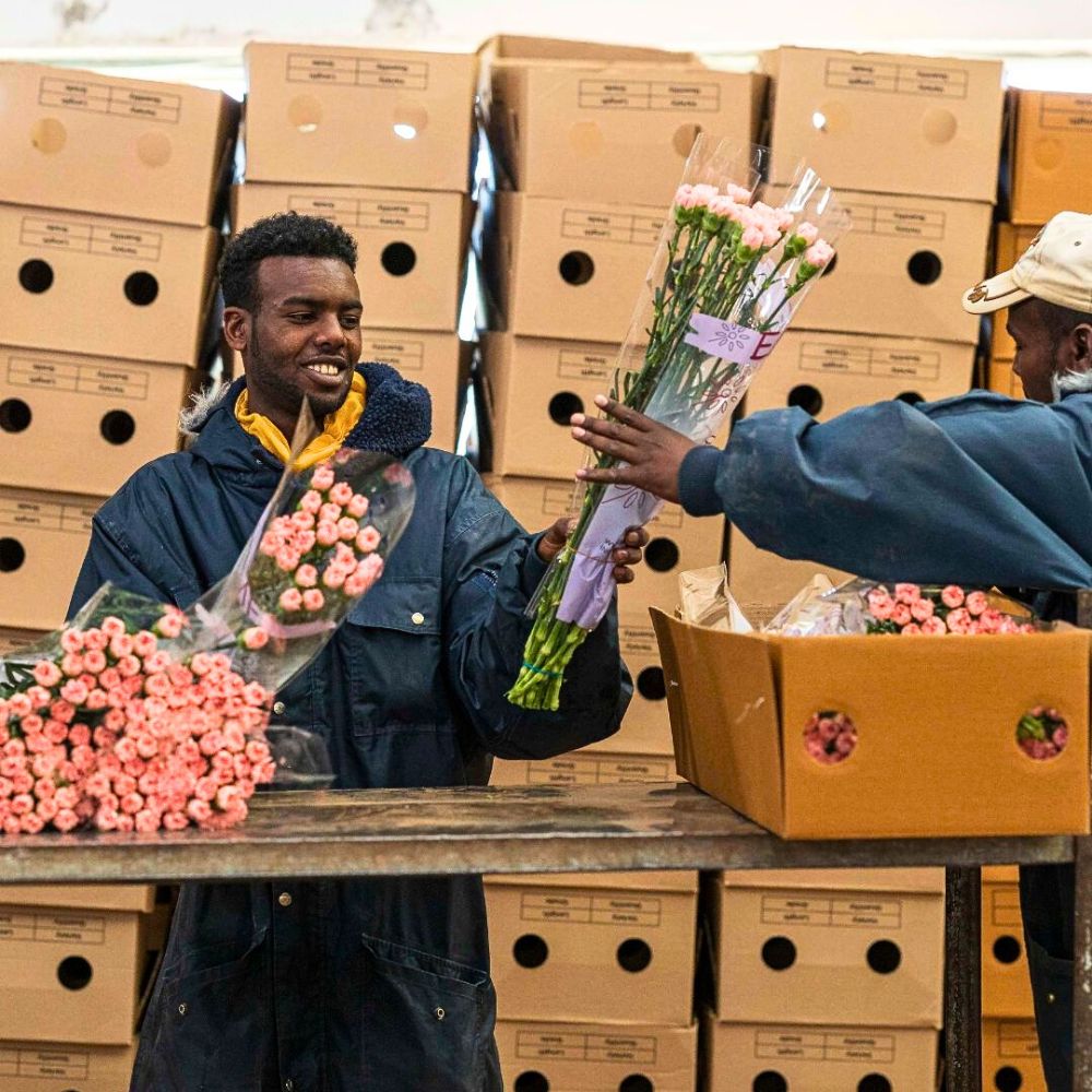 East African Magical Farms