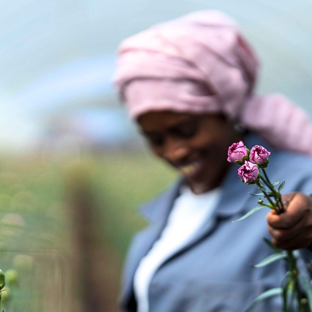 East African Magical Farms
