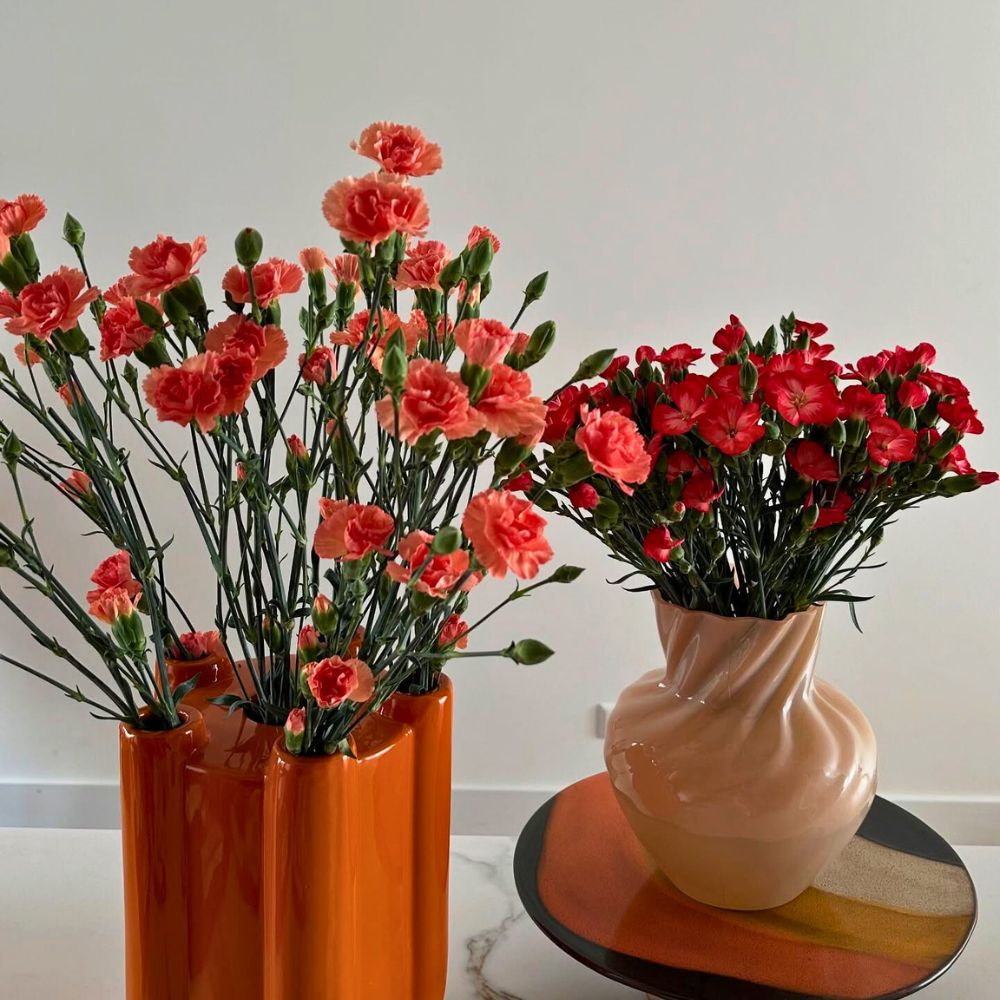 East African Magical Farms