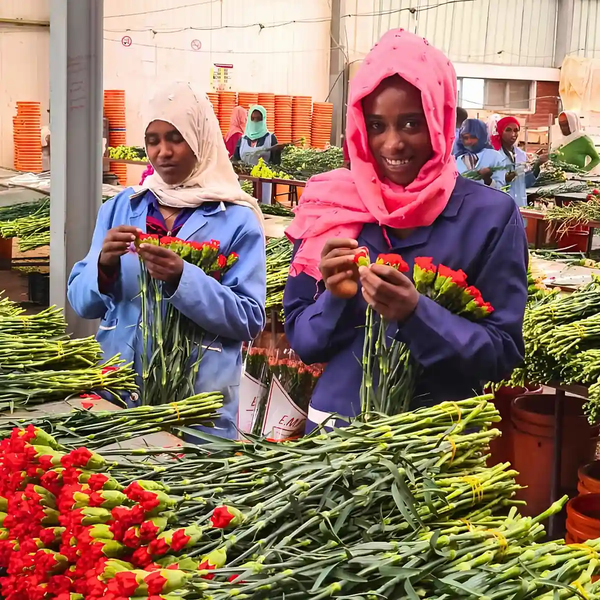 East African Magical Farms