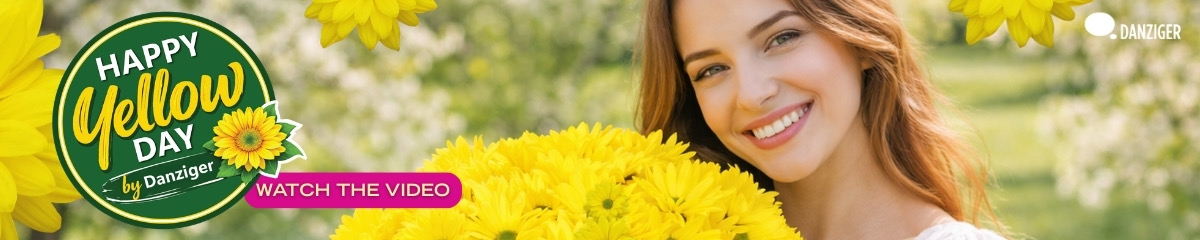 BannerDanzigerHappyYellowDay