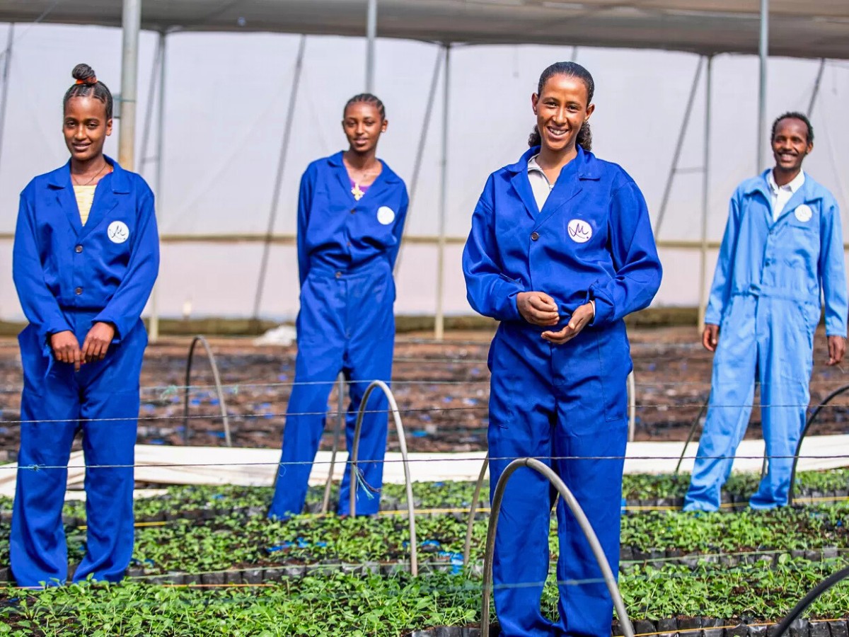 Meet Marginpar at HortiFlora 2026 to Experience Their Ethiopian Floral Assortment