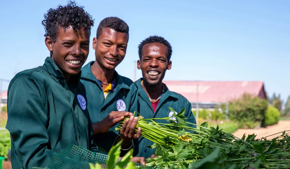 Meet Marginpar at HortiFlora 2026 to Experience Their Ethiopian Floral Assortment