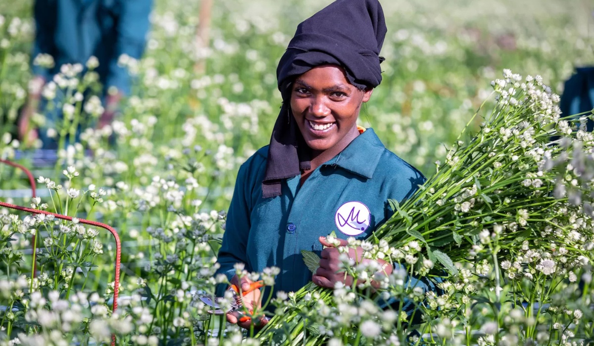 Meet Marginpar at HortiFlora 2026 to Experience Their Ethiopian Floral Assortment