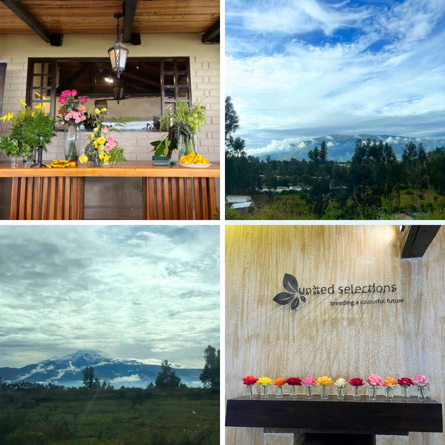 United Selections Ecuador