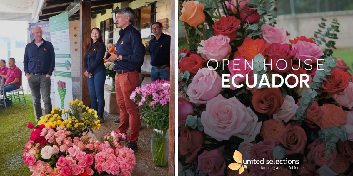 Open House Days Ecuador United Selections