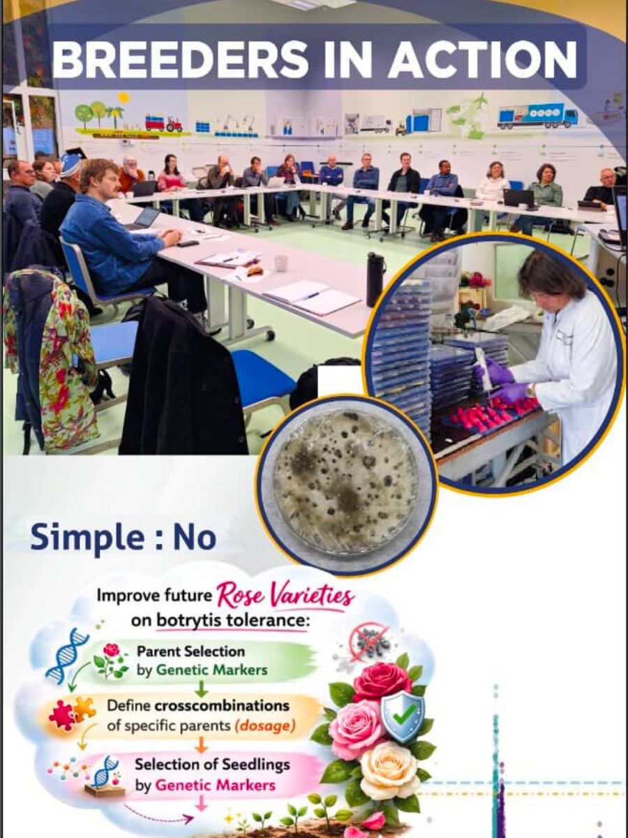 Breeders in action United Selections