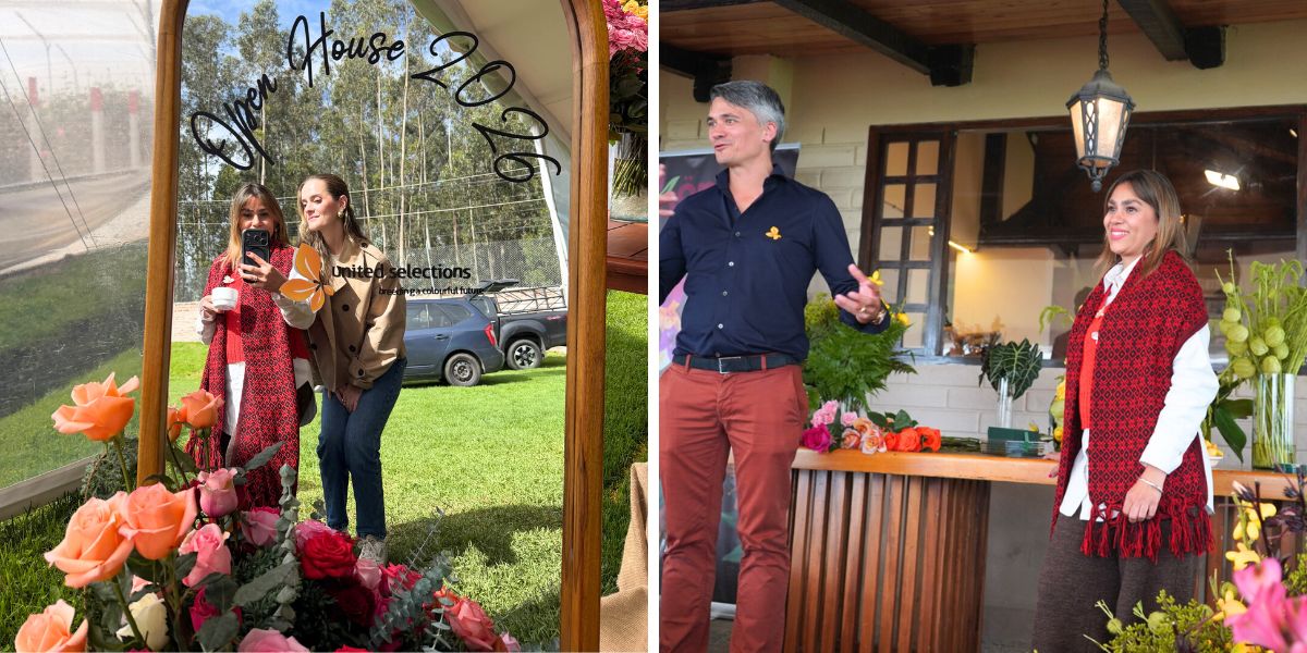 Days at United Selections