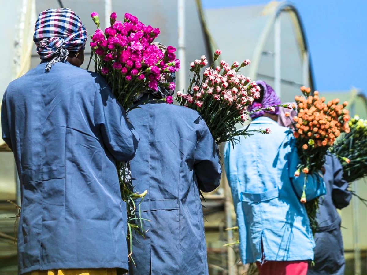East African Magical Farms