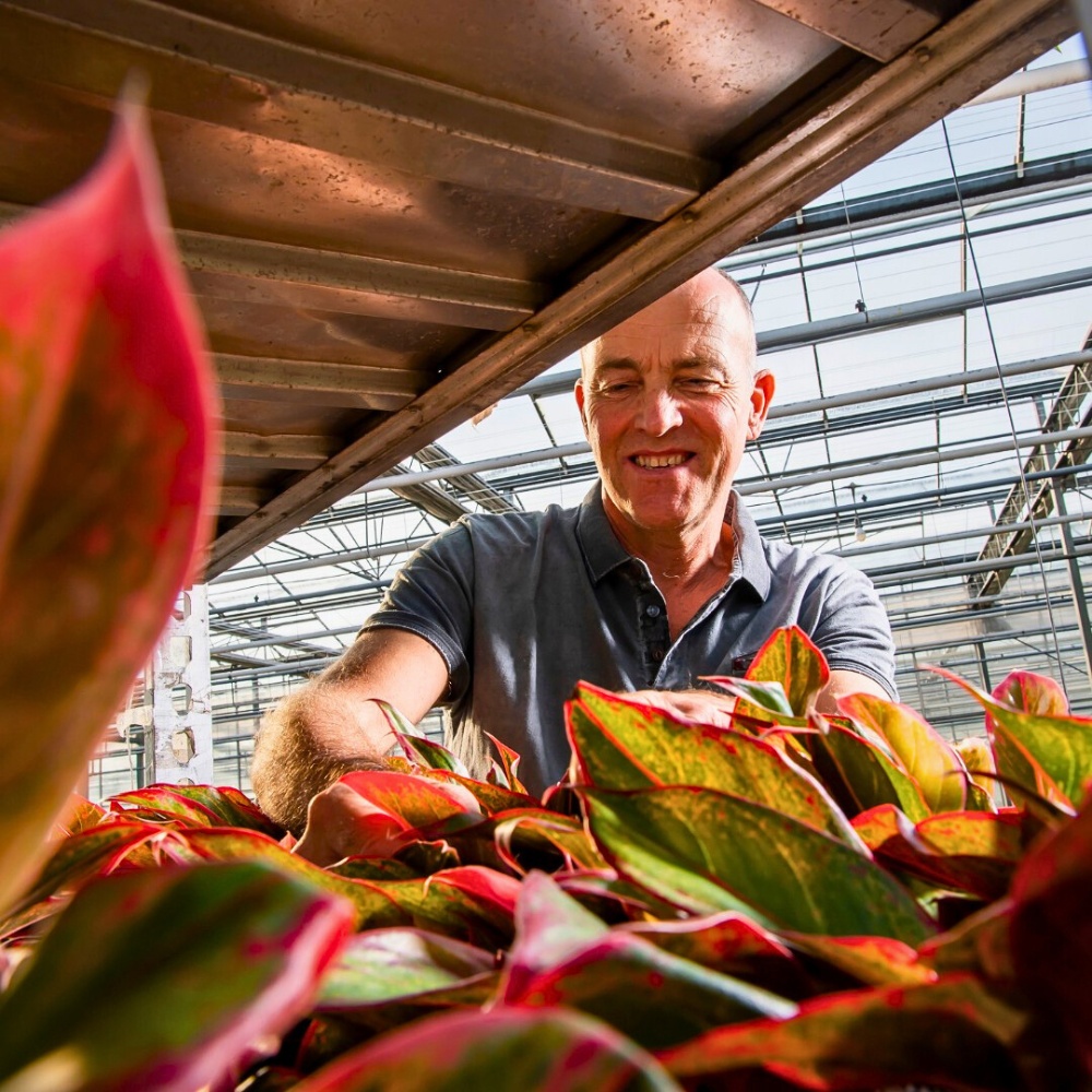 What Is GLOBALG.A.P.? The Standard Ensuring Good Agricultural Practices