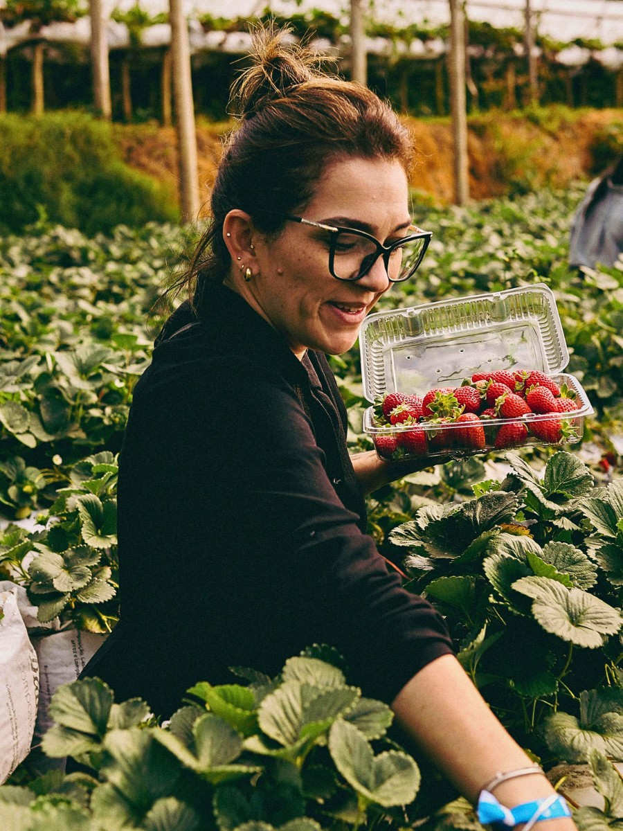 What Is GLOBALG.A.P.? The Standard Ensuring Good Agricultural Practices