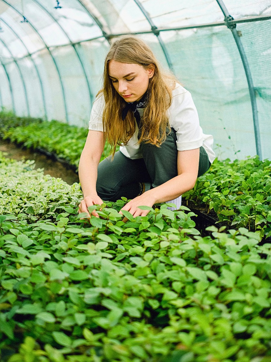 GLOBALG.A.P works in the background while flowers, fruits, and vegetables move around the world every day. 