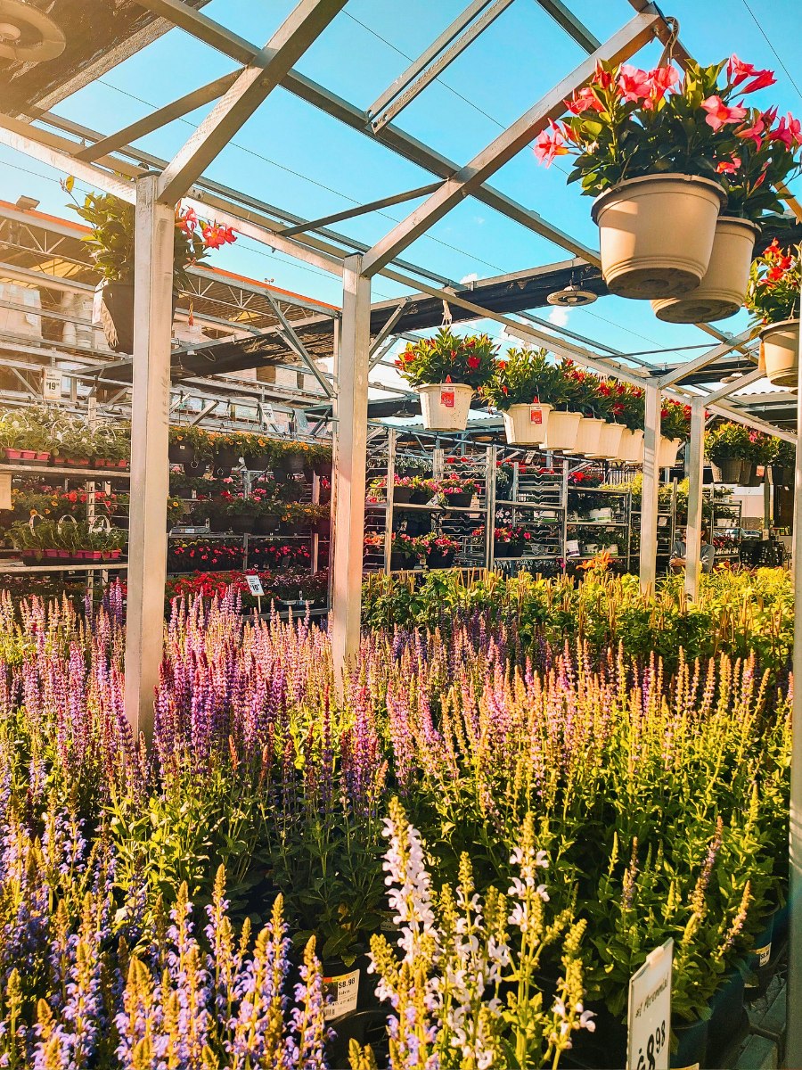 What Is GLOBALG.A.P.? This Is the Mutual Language of Trust in Farming: The Standard Ensuring Good Agricultural Practices