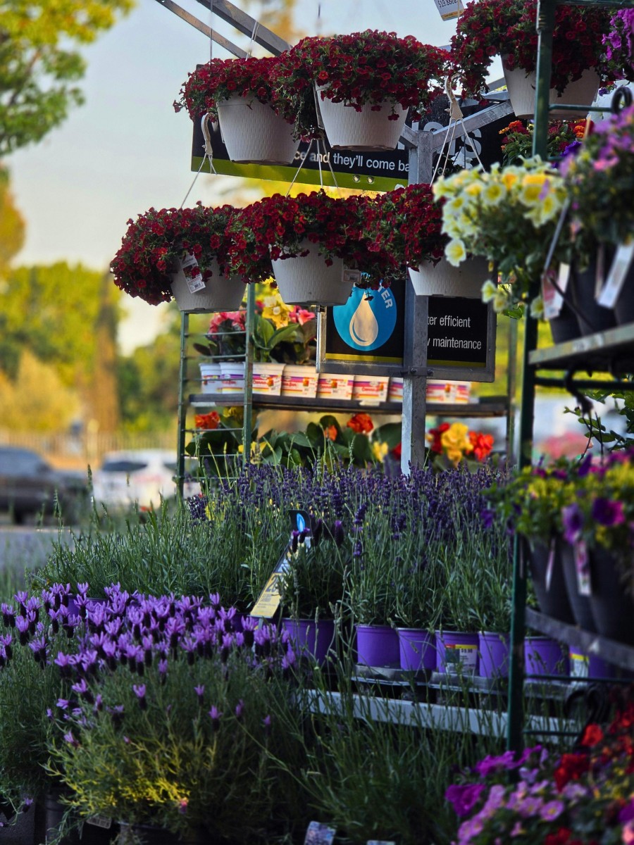 What Is GLOBALG.A.P.? This Is the Mutual Language of Trust in Farming: The Standard Ensuring Good Agricultural Practices