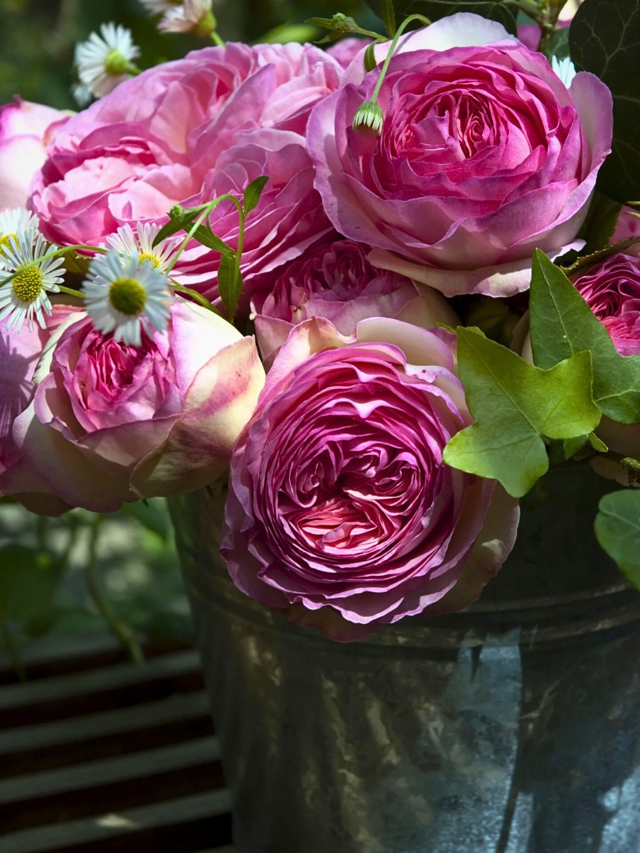 Pesticides and Valentine&rsquo;s Day Roses... And When the Facts Speak