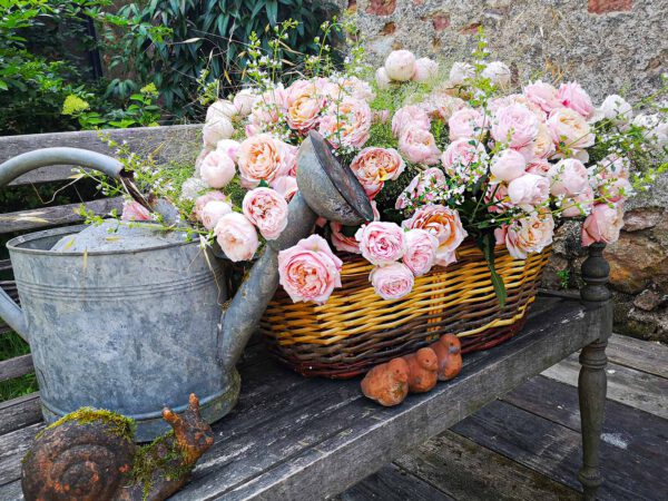 I Love Picking Fresh Roses From My Garden by Catherine Joyaux Corselli