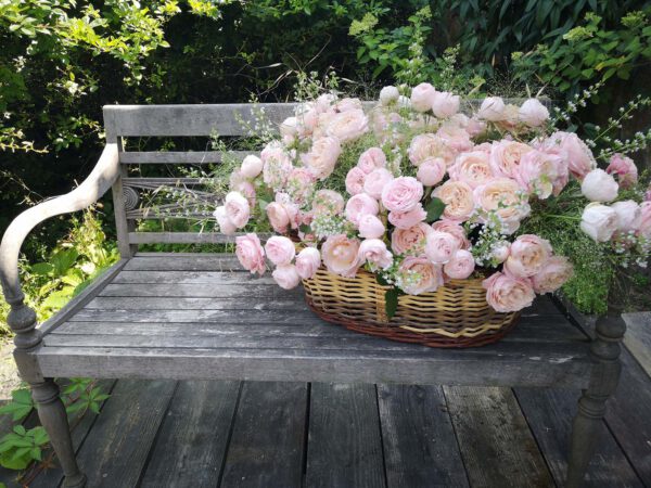 I Love Picking Fresh Roses From My Garden by Catherine Joyaux Corselli