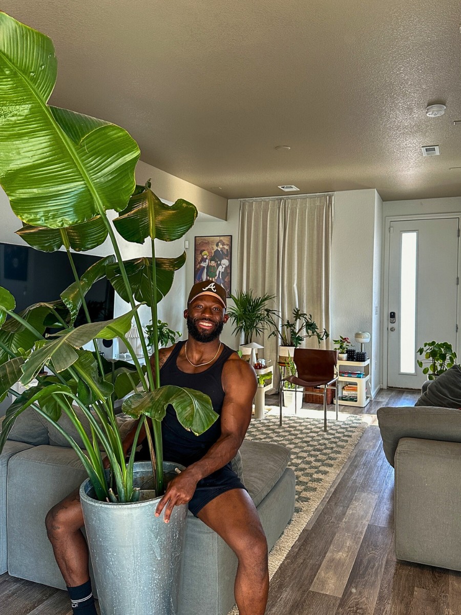 How often should I water low light houseplants compared to high light ones? Low light houseplants need considerably less water than their high-light counterparts.