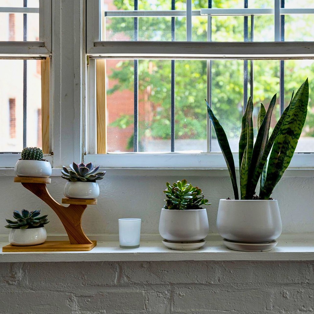What are the best low light air purifying houseplants? The best low light air purifying houseplants include snake plants, pothos, peace lily, Chinese evergreen, and ZZ plants. 