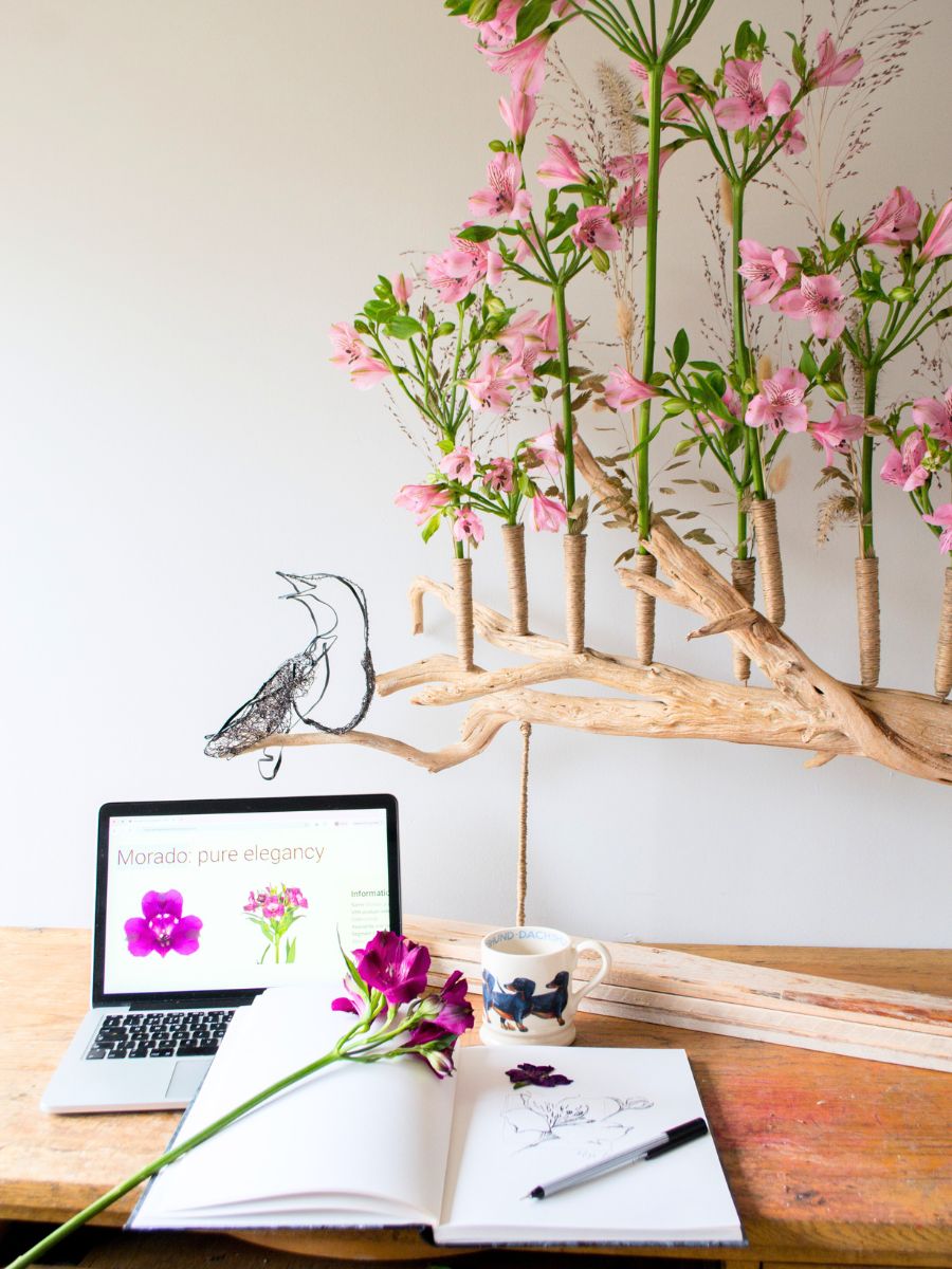 Alstroemeria Pink Floyd design