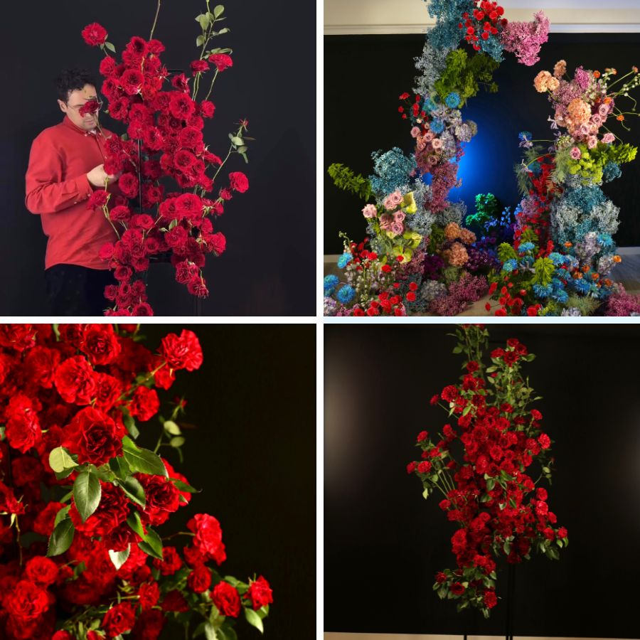 Alex Molina with Bellalinda roses