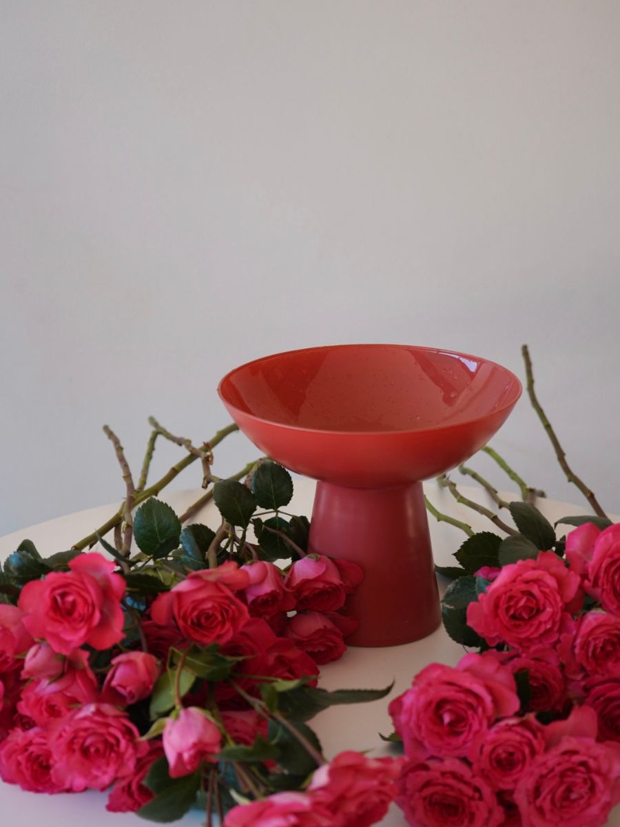 Foliage of Bellalinda spray roses