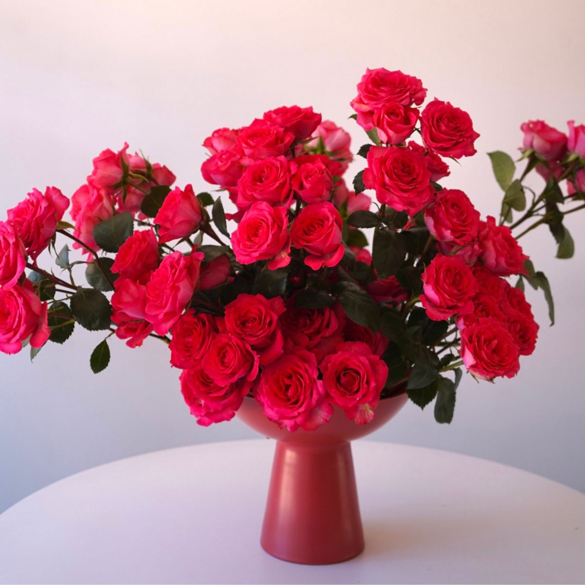 Bellalinda in a red vase